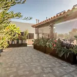 Maria\'S Roof Garden